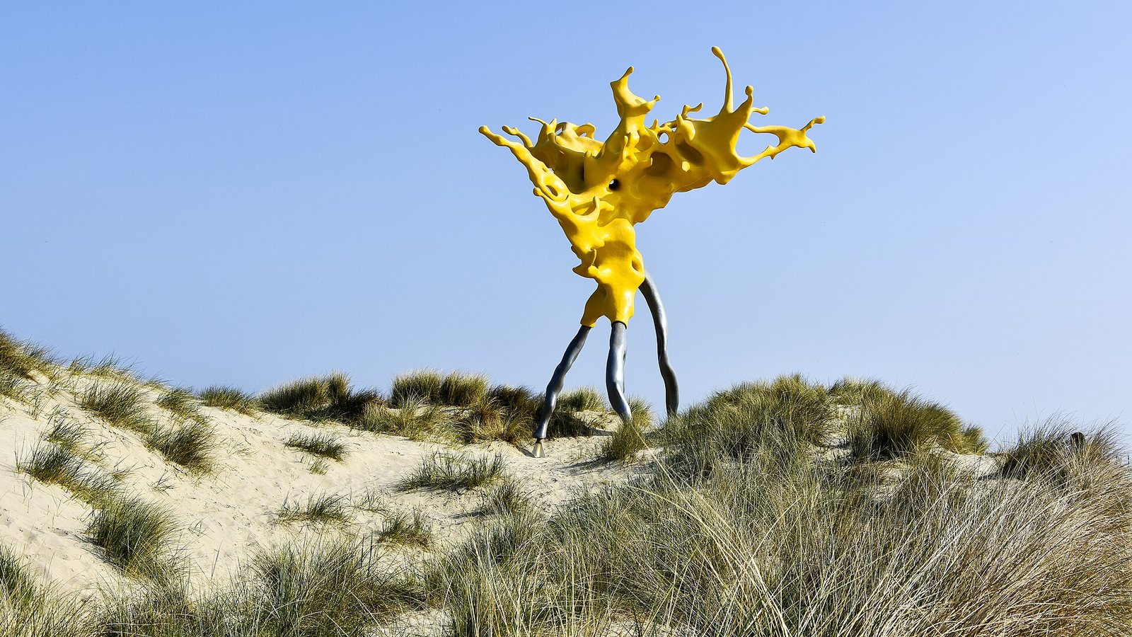 Olnetop von Nick Ervinck